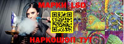 тгк Новодвинск