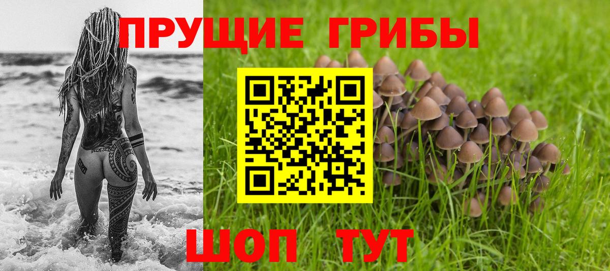 Сальск  Псилоцибиновые грибы мицелий  Вход с VPN 